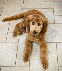 The Pawlor - Photo 4 - Car repair in Norfolk, VA, Norfolk