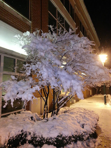 Movie Theater «Cinemark Seven Bridges and IMAX», reviews and photos, 6500 IL-53, Woodridge, IL 60517, USA