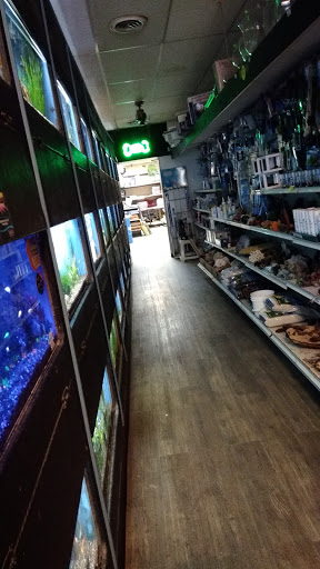 Pet Store «Park Pet Shop», reviews and photos, 10429 S Kedzie Ave, Chicago, IL 60655, USA