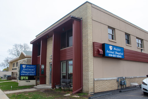 Mayfair Animal Hospital