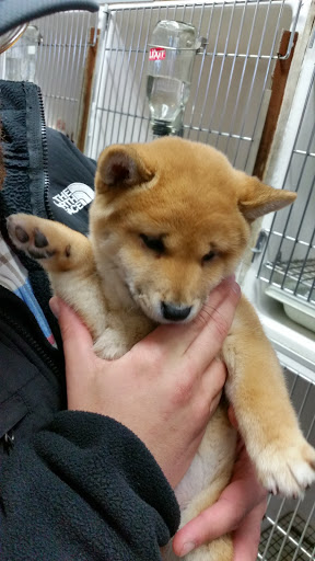 Pet Supply Store «Zoo-Rama Pets», reviews and photos, 2566 E Tremont Ave, Bronx, NY 10461, USA