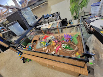 Pets Unlimited - Photo 3 - Car repair in Clearwater, FL, Clearwater