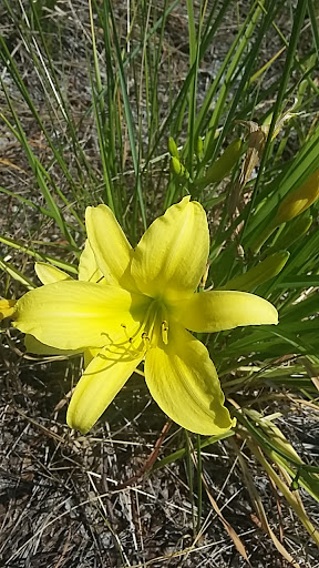 Park «Joe Moakley Park», reviews and photos, 1005 Columbia Road, Boston, MA 02127, USA