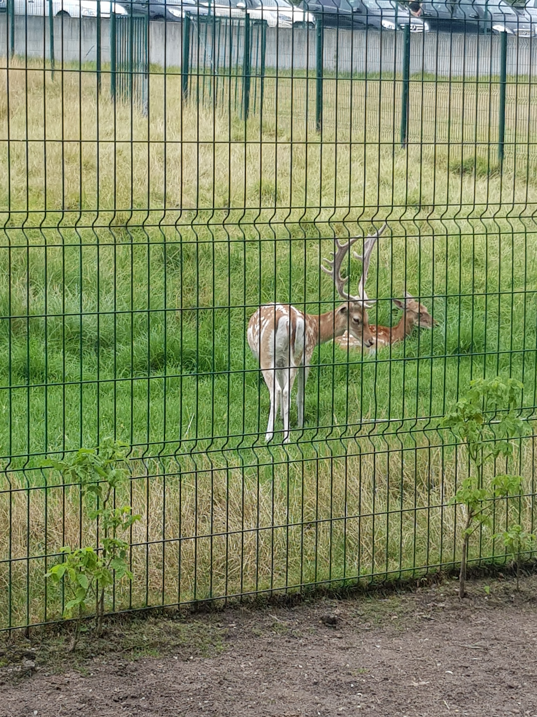 Photo n° 2 de l'avis de Roxane.o fait le 18/08/2019 à 18:56