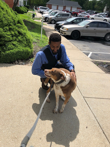 Northeast Animal Hospital image