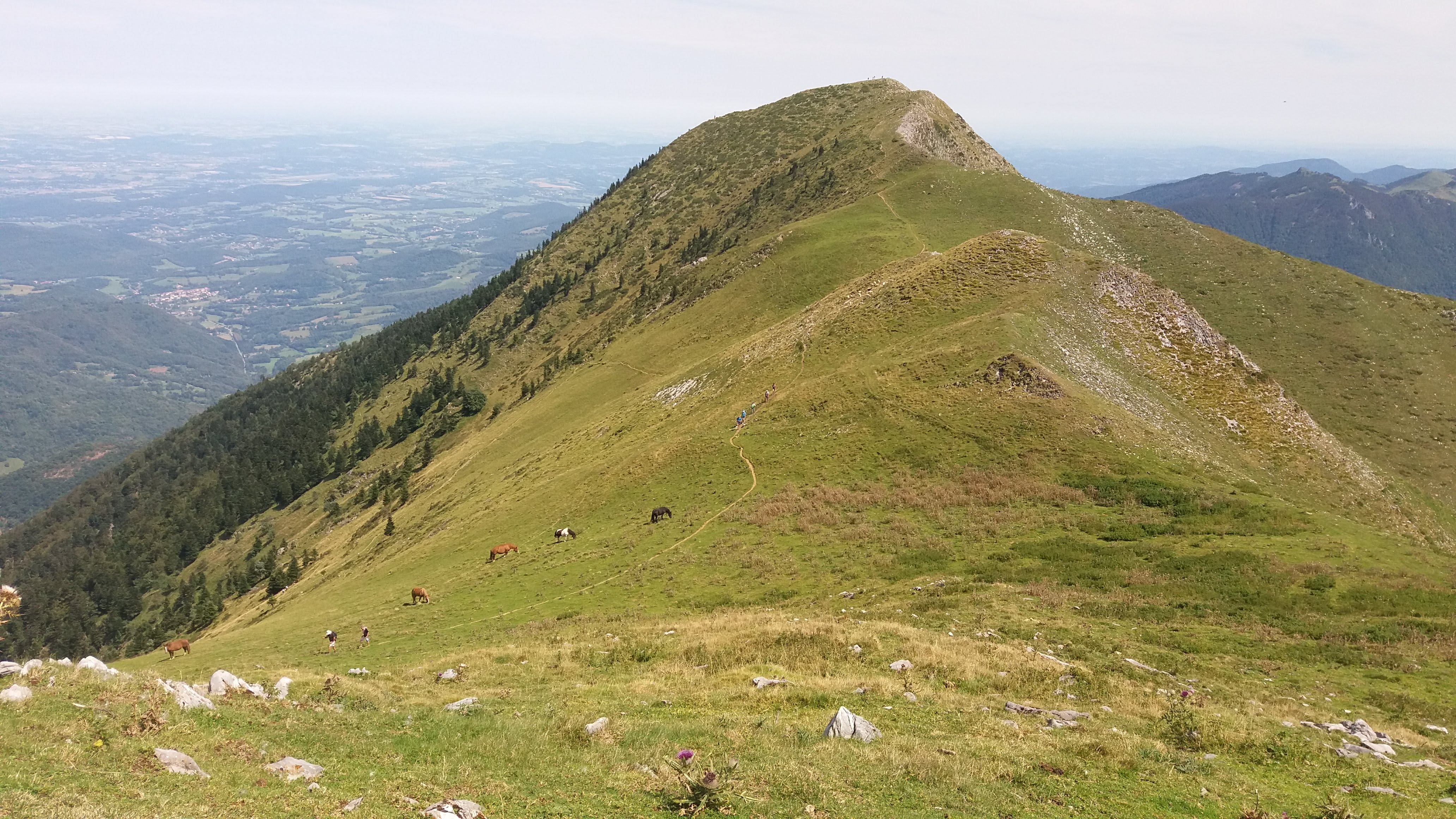 Photo n° 2 de l'avis de Alain.i fait le 05/09/2018 à 18:41