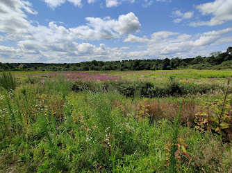 Mary Cummings Park