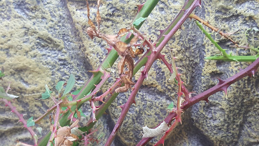 Zoo «Reptile Zoo», reviews and photos, 22715 US-2, Monroe, WA 98272, USA