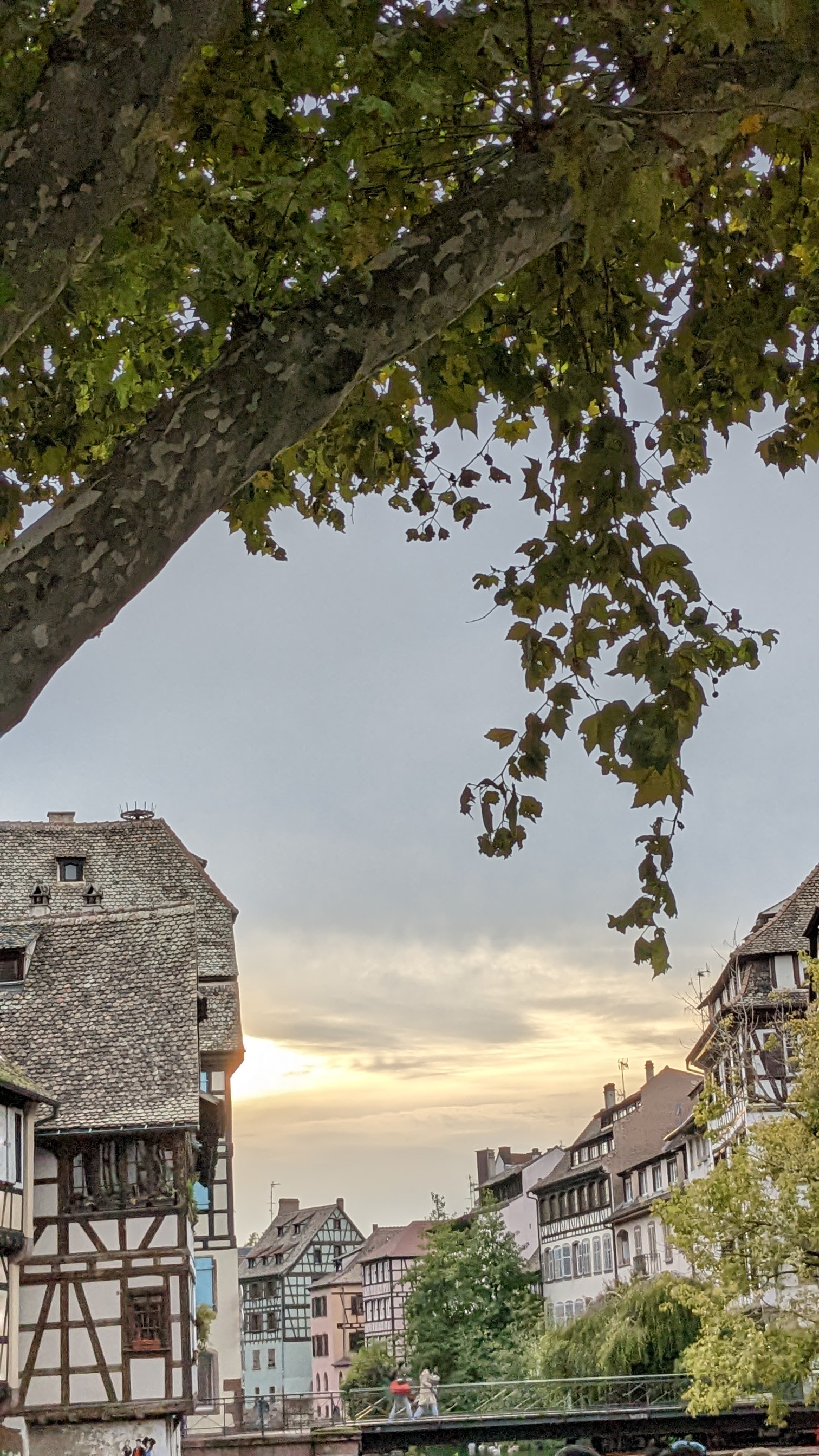 Photo n° 3 de l'avis de Michaël. fait le 05/10/2022 à 15:28