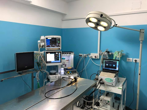 Pensioni per cani e dog hotel a Ospedale Veterinario FormiaVet srl