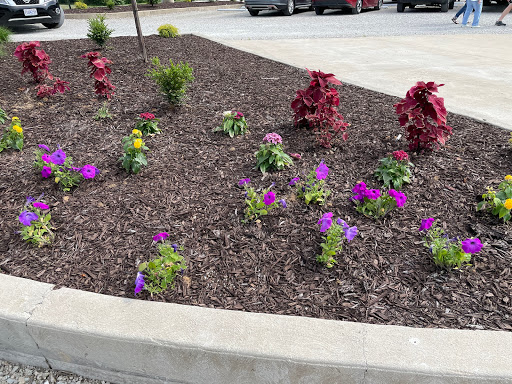 Vineyard «Noboleis Vineyards», reviews and photos, 100 Hemsath Rd, Augusta, MO 63332, USA