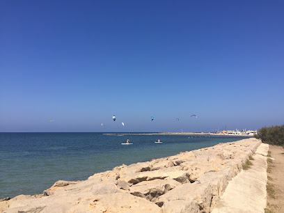 &iexcl;Descubre las &uacute;ltimas novedades en las playas de Denia!