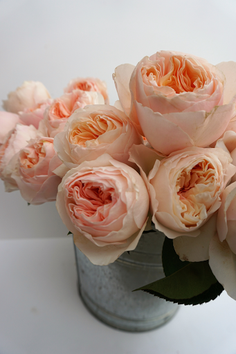 Florist «Carrollwood Florist», reviews and photos, 11745 N Dale Mabry Hwy, Tampa, FL 33618, USA