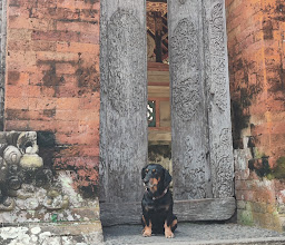 Ubud Palace photo