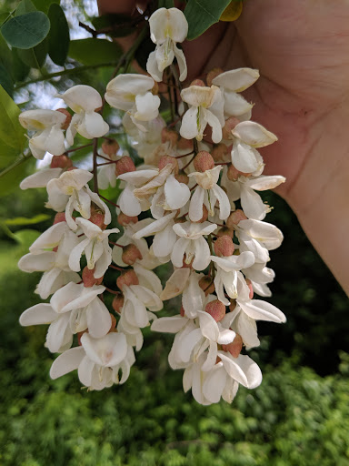 State Park «Willow River State Park», reviews and photos, 1034 County Highway A, Hudson, WI 54016, USA