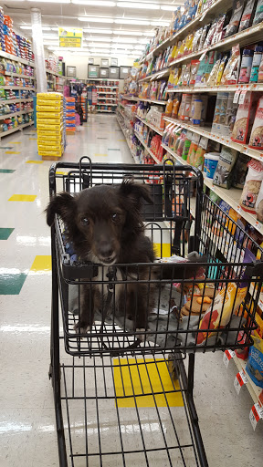 Pet Supply Store «Pet Supplies Plus», reviews and photos, 1510 Scranton Carbondale Hwy, Scranton, PA 18508, USA