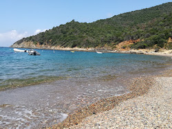 Photo de Plage de Punta Rossa II situé dans une zone naturelle