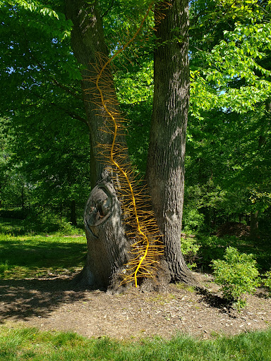 Art Museum «The Kreeger Museum», reviews and photos, 2401 Foxhall Rd NW, Washington, DC 20007, USA