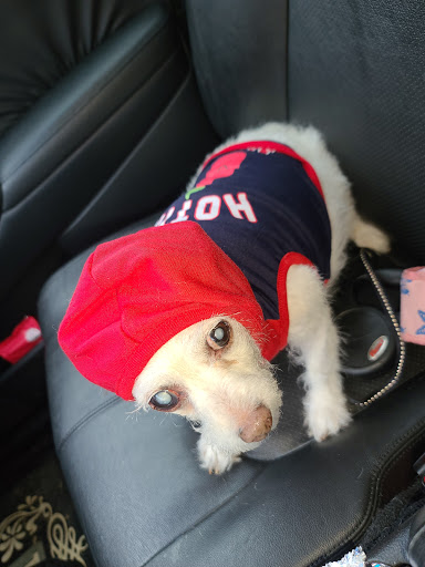 Pet Supply Store «Pet Supplies Plus», reviews and photos, 1240 Seminole Trail, Charlottesville, VA 22901, USA