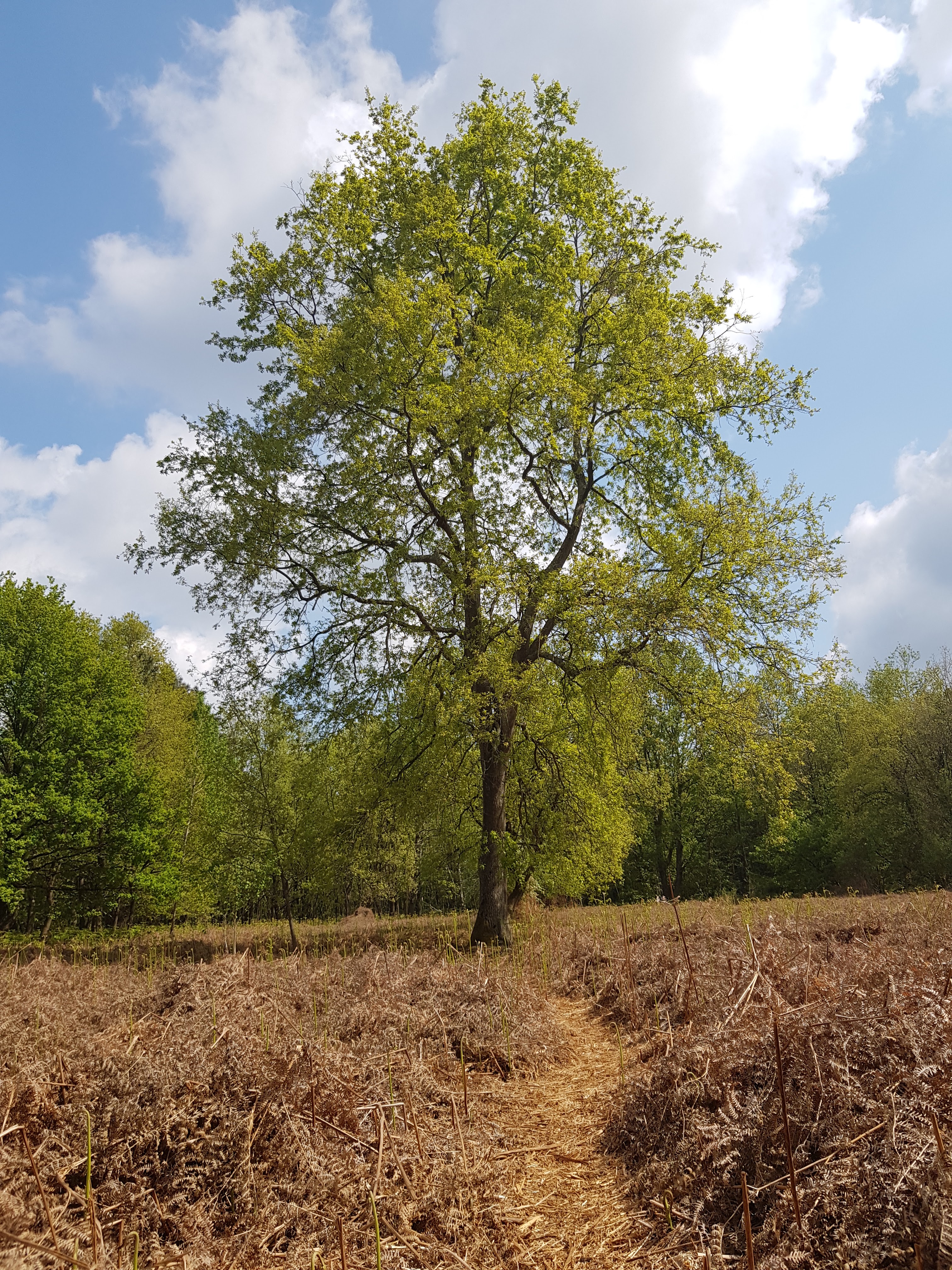 Photo n° 3 de l'avis de denis.. fait le 16/05/2021 à 19:45