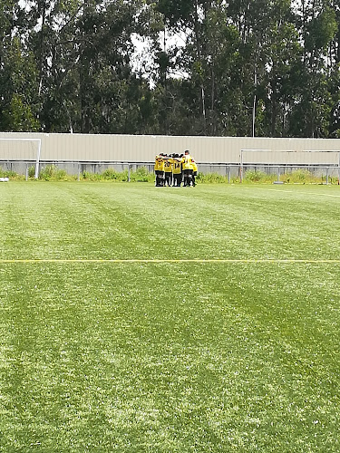 Avaliações doCampo de Futebol António da Mota Assis em Santarém - Campo de futebol