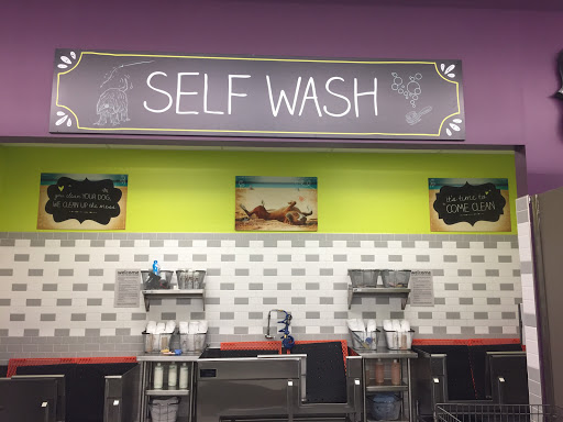 Pet Supply Store «Petco», reviews and photos, 19800 Belmont Chase Dr Unit 110, Ashburn, VA 20147, USA