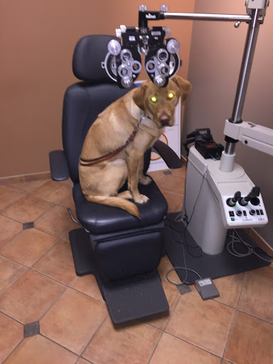 Training School «Guide Dogs For The Blind Inc», reviews and photos