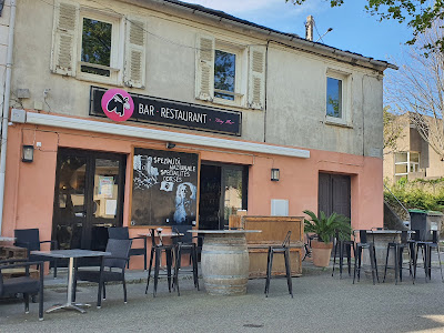 Tony Bar Restaurant à Luri