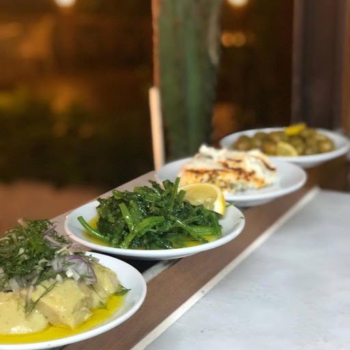 Yeni Albatros Burak'In Yeri