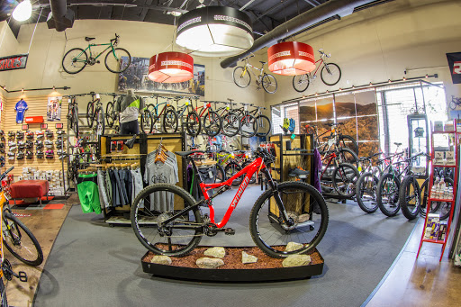 Bicycle Store «Global Bikes - Chandler North», reviews and photos, 2915 W Ray Rd, Chandler, AZ 85224, USA