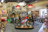 Global Bikes & E-Bikes - Photo 5 - Car repair in Chandler, AZ, Mesa