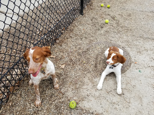 Dog Park «Wiggly Field Dog Friendly Area», reviews and photos, 2645 N Sheffield Ave, Chicago, IL 60614, USA
