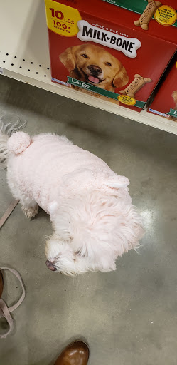 Pet Supply Store «PetSmart», reviews and photos, 2100 Chemical Rd, Plymouth Meeting, PA 19462, USA