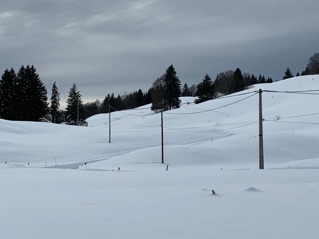 Photo n° 1 de l'avis de Jackie.o fait le 12/02/2019 à 13:36