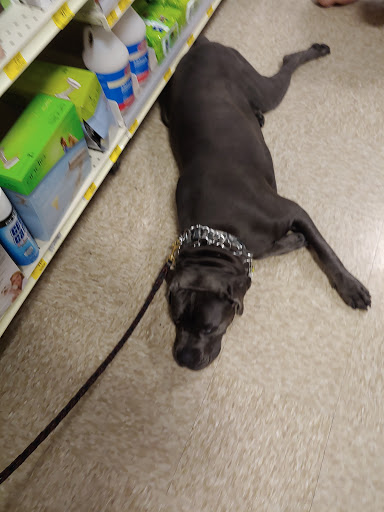 Pet Supply Store «PetSmart», reviews and photos, 17180 Mercantile Blvd, Noblesville, IN 46060, USA