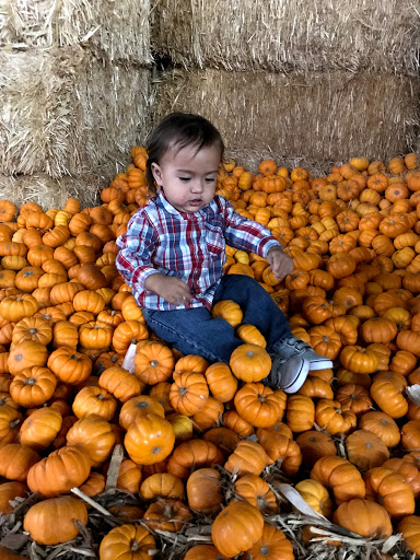 Buick Dealer «AutoNation Buick GMC Henderson», reviews and photos, 330 Old Gibson Rd, Henderson, NV 89014, USA