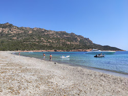 Photo de Plage De Porto-Novo avec un niveau de propreté de très propre