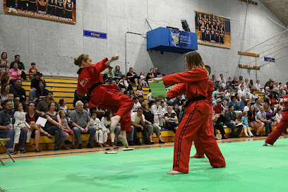 USTA Martial Arts-Lynden