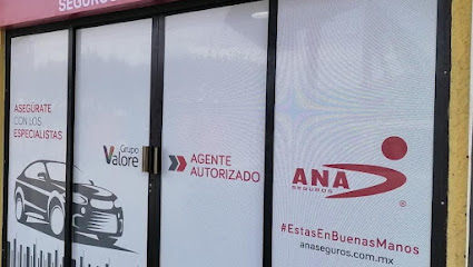 ANA Seguros