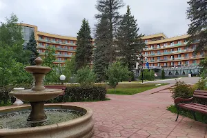 Rest House "Snegiri" image