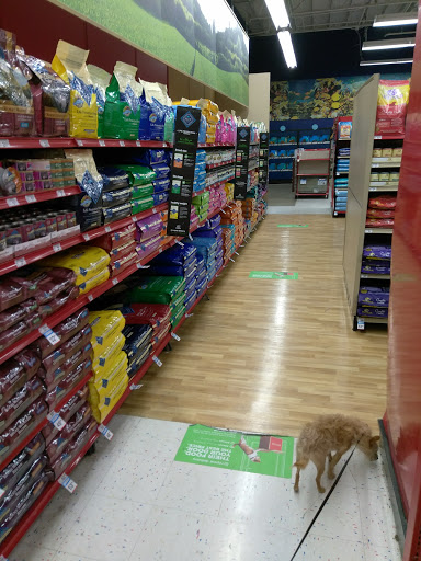 Pet Supply Store «Petco Animal Supplies», reviews and photos, 5481 Lone Tree Way, Brentwood, CA 94513, USA