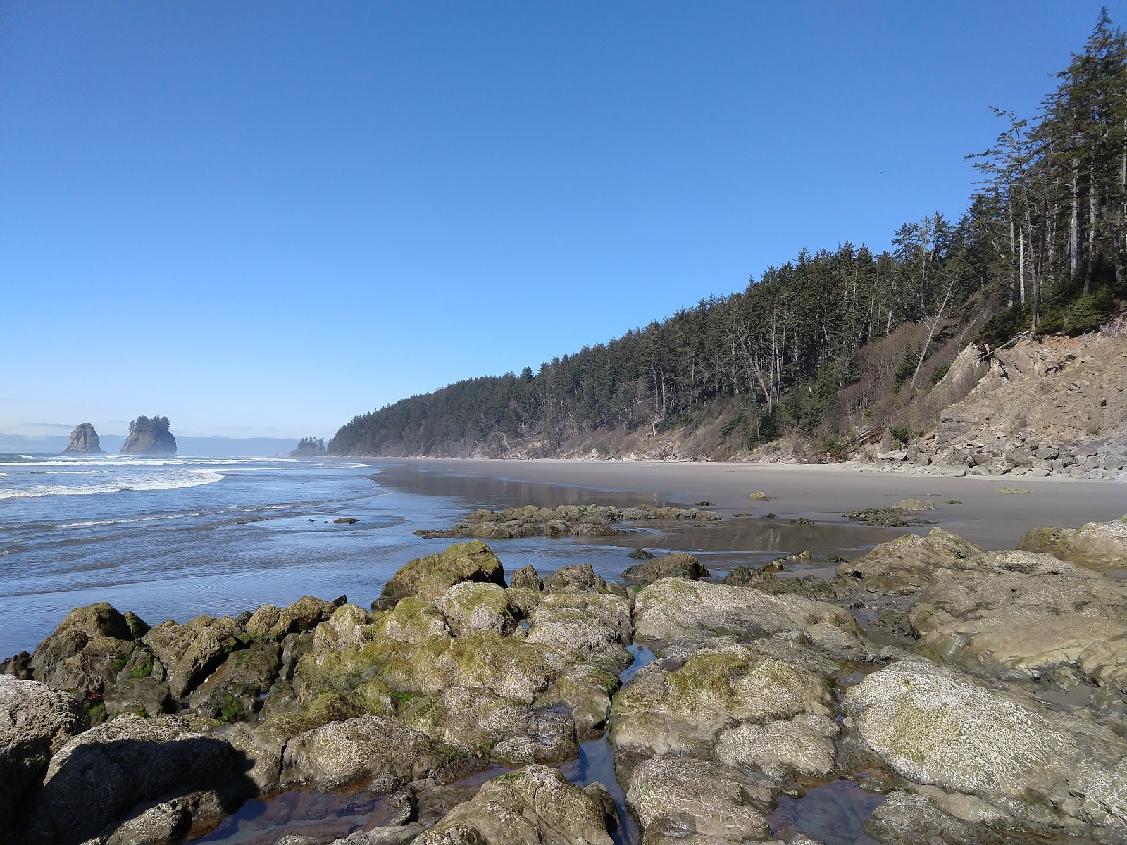 Foto von Second Beach Quileute Res. und seine wunderschöne Landschaft