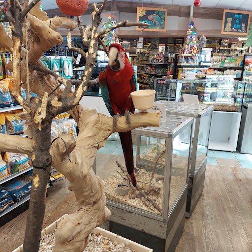 Pet Store «Ark Pet Shop», reviews and photos, 2400 W Lincoln Hwy, Merrillville, IN 46410, USA