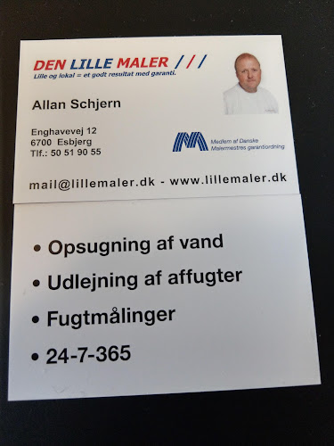 DEN LILLE MALER ESBJERG - Esbjerg