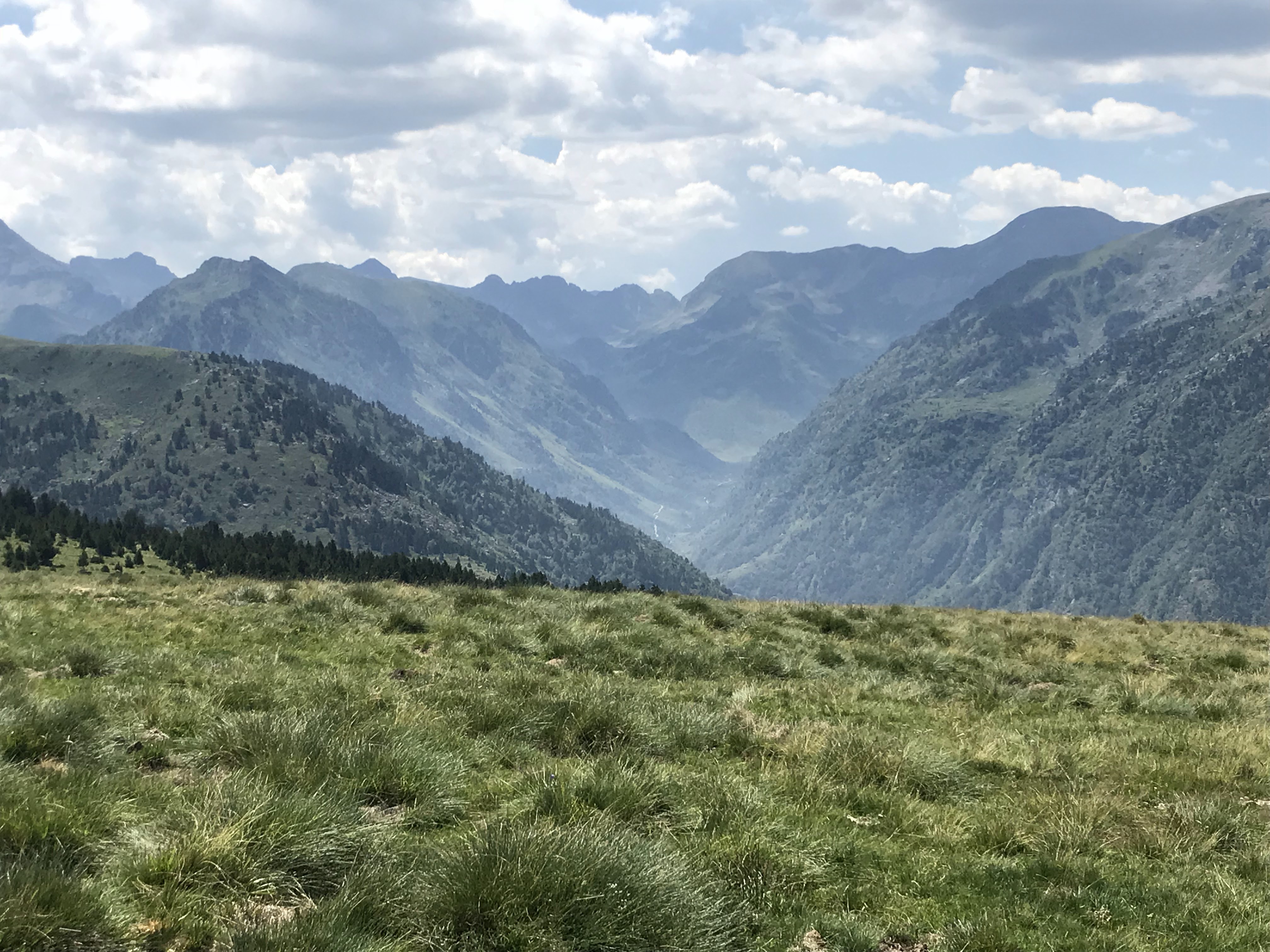 Photo n° 2 de l'avis de Awdgheh.a fait le 27/12/2018 à 04:02