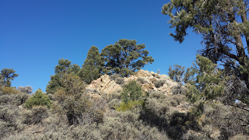 Search Cabins in Big Bear, CA - Mountain Lake Properties - Jane Brayton image