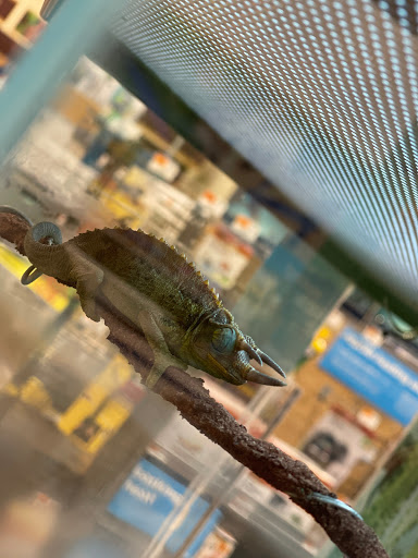 Pet Supply Store «Petco Animal Supplies», reviews and photos, 1 US-46, Totowa, NJ 07512, USA