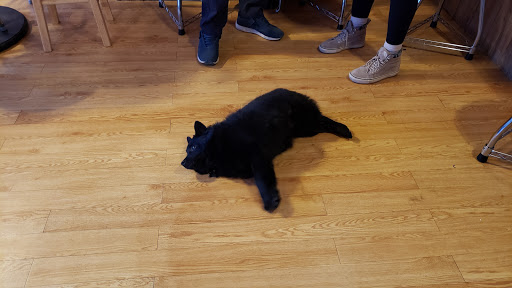 Brewing Supply Store «Grape & Grains», reviews and photos, 104 Mauldin Rd A, Greenville, SC 29605, USA