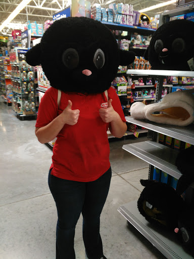 Discount Store «Walmart», reviews and photos, 305 Singing View, Spring Branch, TX 78070, USA