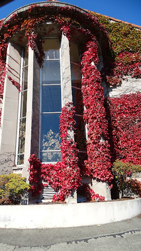 Funeral Home «Acacia Memorial Park & Funeral Home», reviews and photos, 14951 Bothell Way NE, Seattle, WA 98155, USA